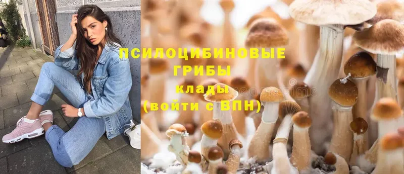 Галлюциногенные грибы Cubensis  купить наркотик  Высоцк 